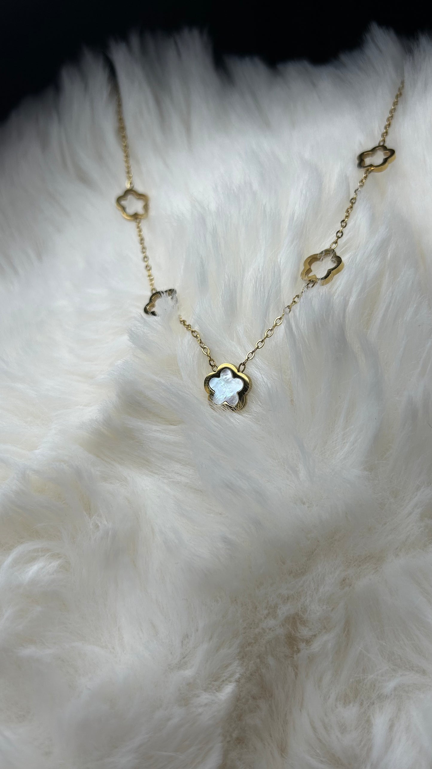 Collier composé de 5 trèfles en acier inoxydable